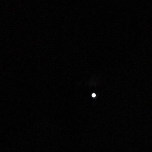 Meet your Posher, Bob